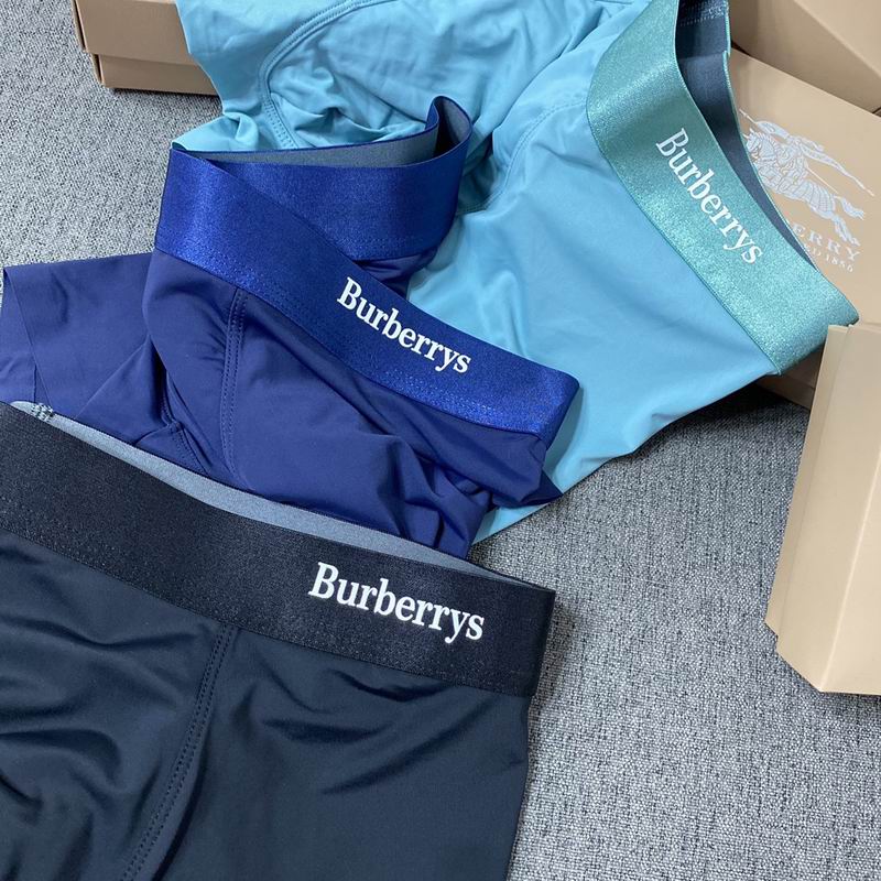 Burberry boxer L-3XL  (7)