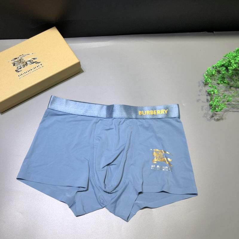 Burberry boxer L-3XL  (7)