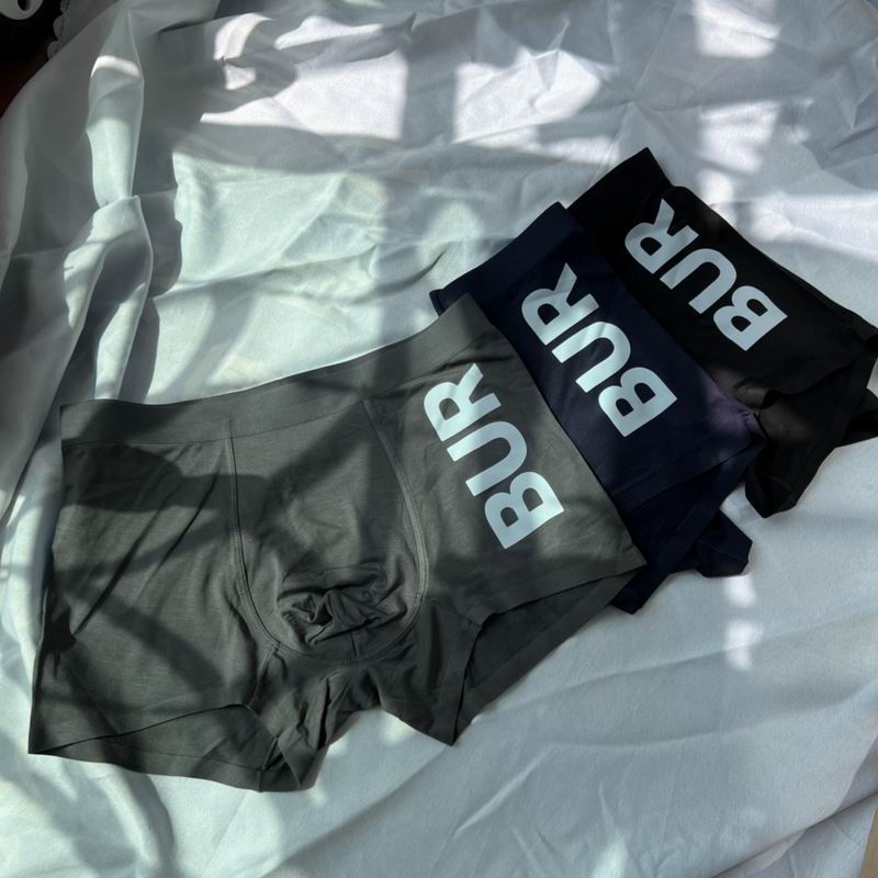 Burberry boxer L-3XL  (7)