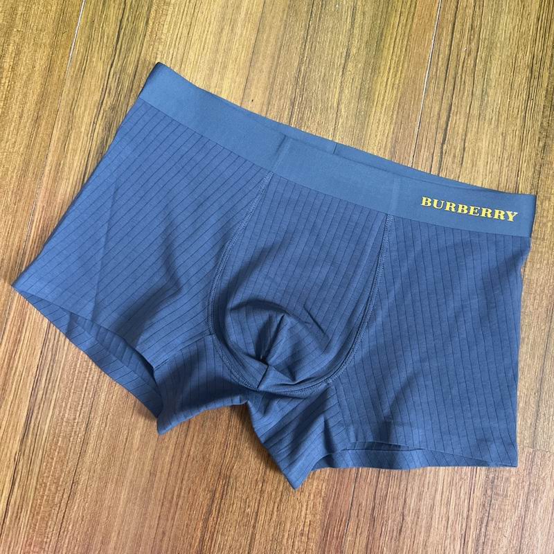 Burberry boxer L-3XL  (8)
