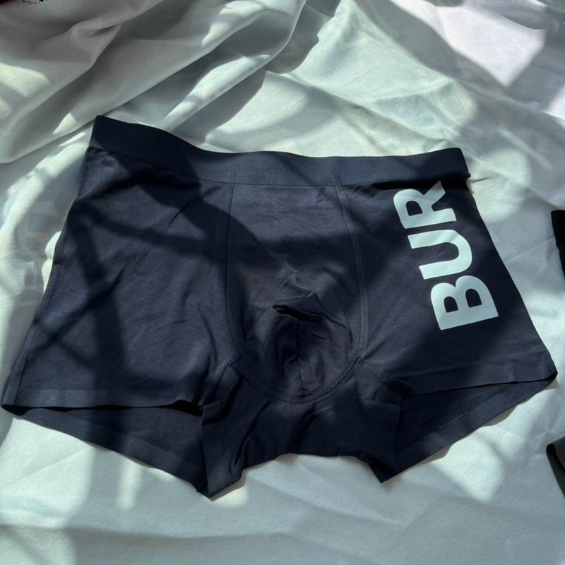 Burberry boxer L-3XL  (8)