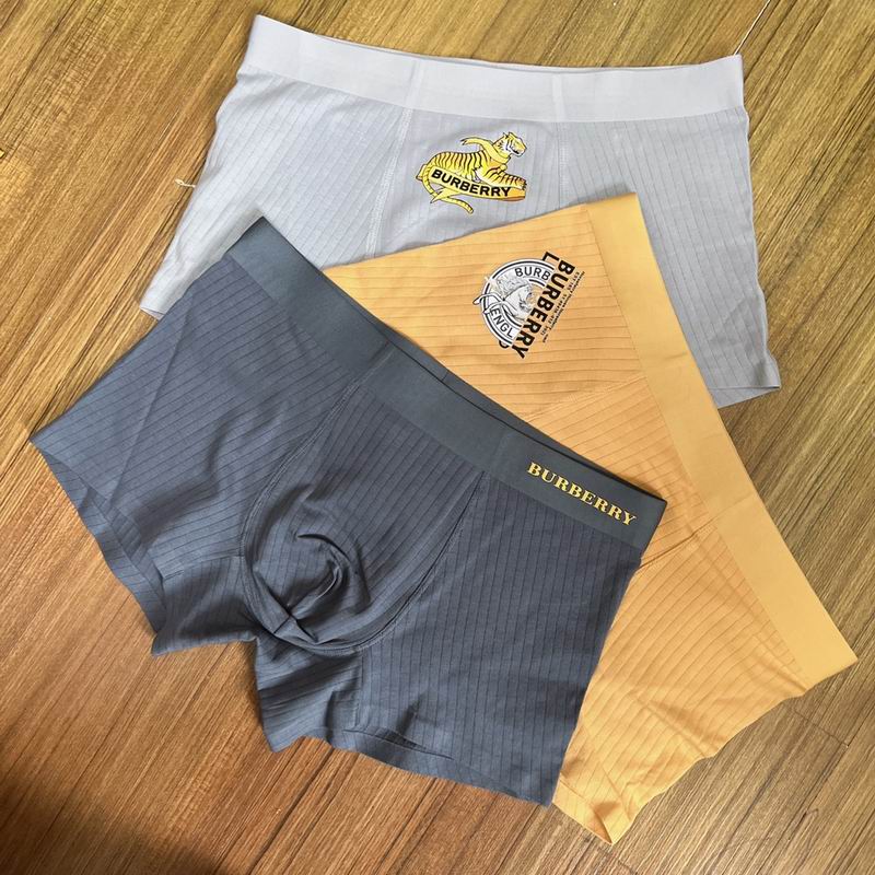 Burberry boxer L-3XL  (9)