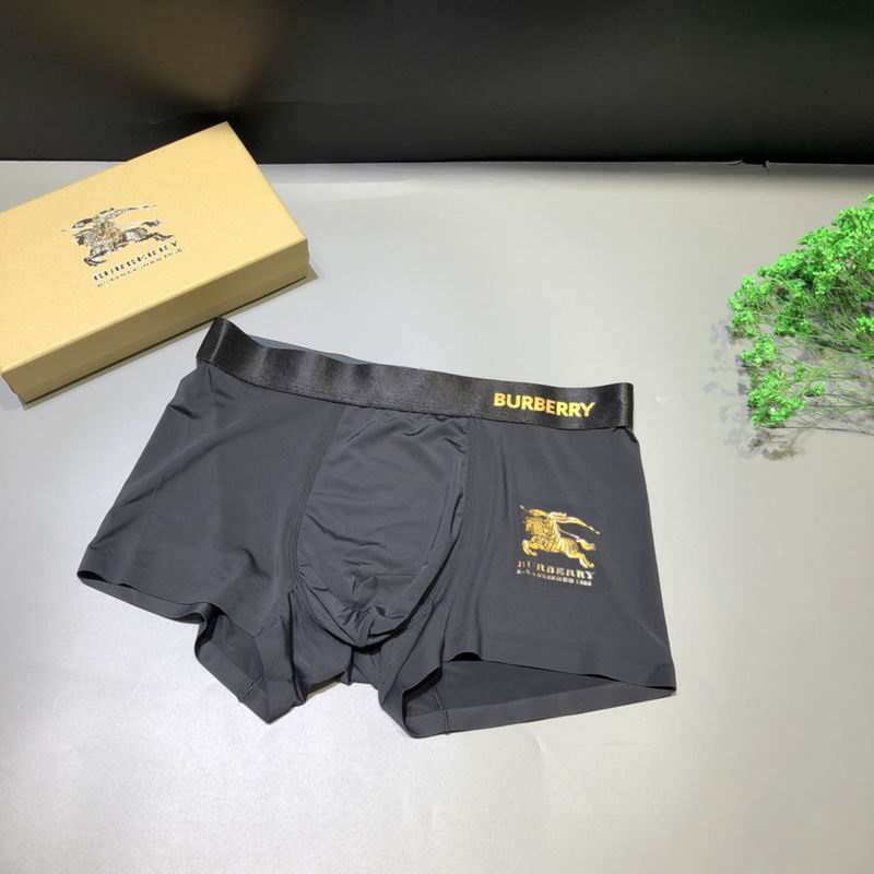Burberry boxer L-3XL  (9)