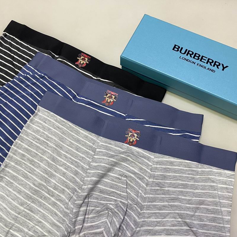Burberry boxer L-3XL 17 (4)