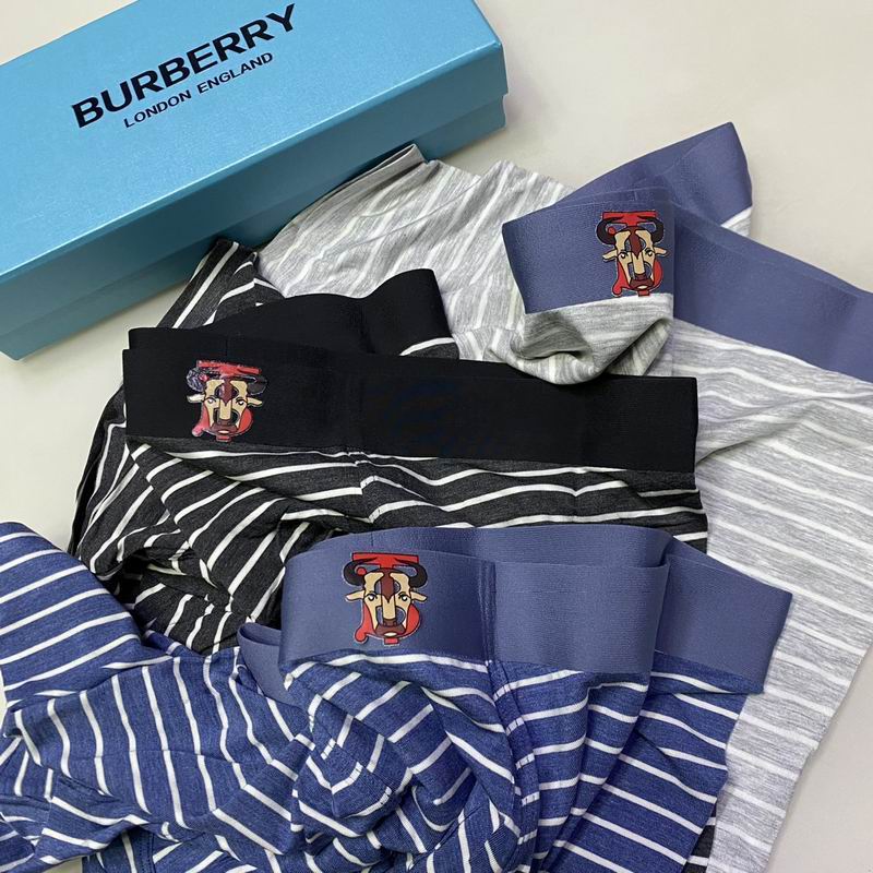 Burberry boxer L-3XL 17 (6)