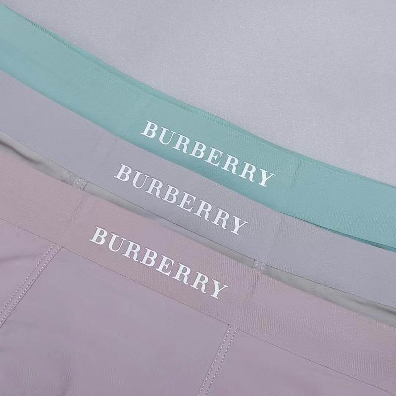 Burberry boxer L-3XL 53 (3)