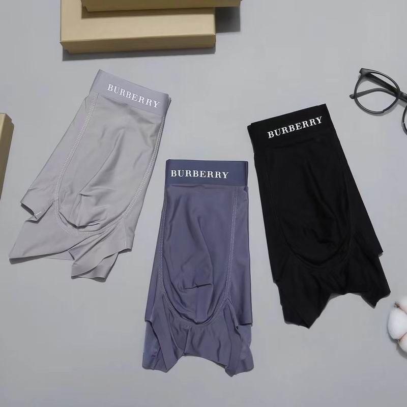 Burberry boxer L-3XL 53 (4)
