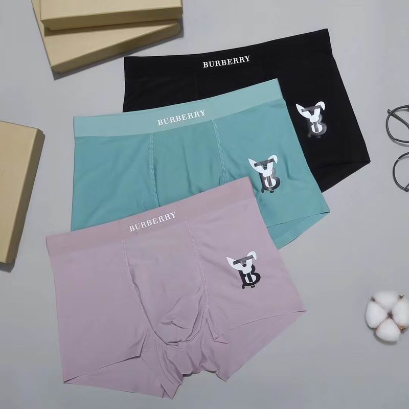 Burberry boxer L-3XL 53 (5)