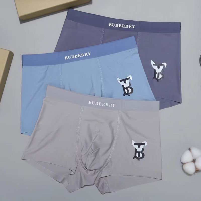 Burberry boxer L-3XL 53 (6)