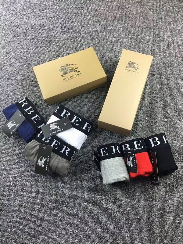 Burberry boxer M-XXL  (2)