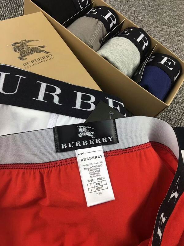 Burberry boxer M-XXL  (3)