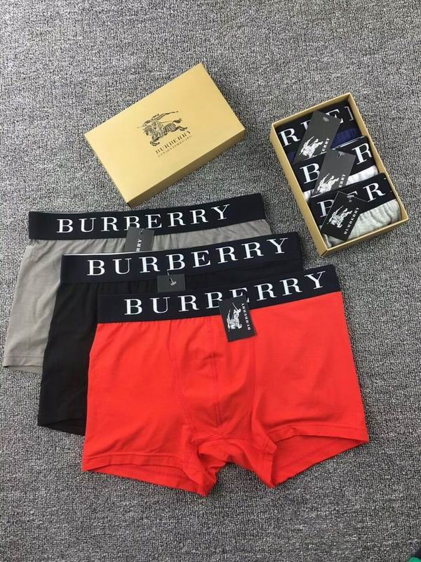 Burberry boxer M-XXL  (4)