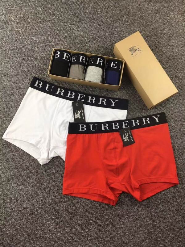 Burberry boxer M-XXL  (5)