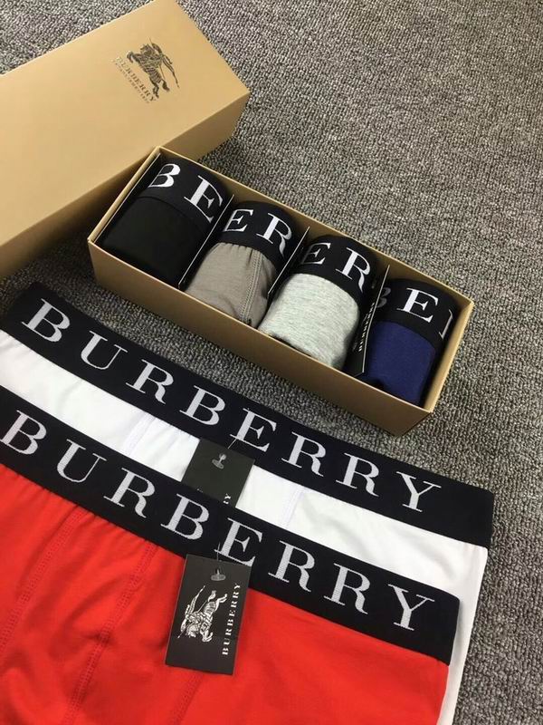Burberry boxer M-XXL  (6)