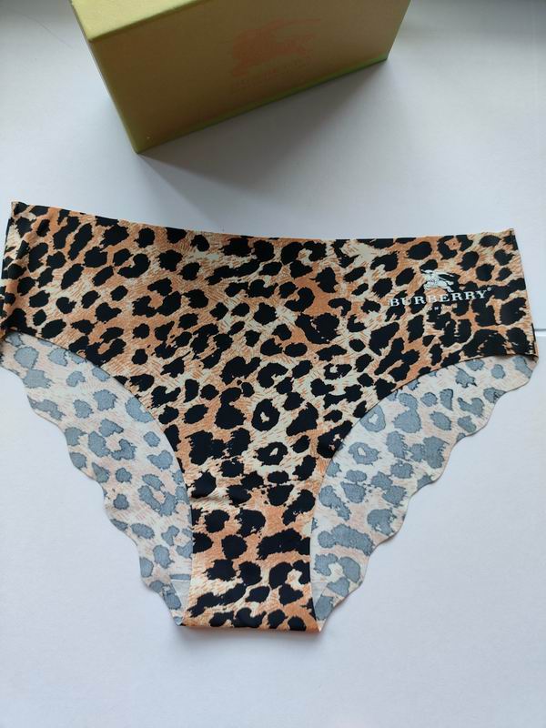 Burberry woman boxer S-XL 09 (3)