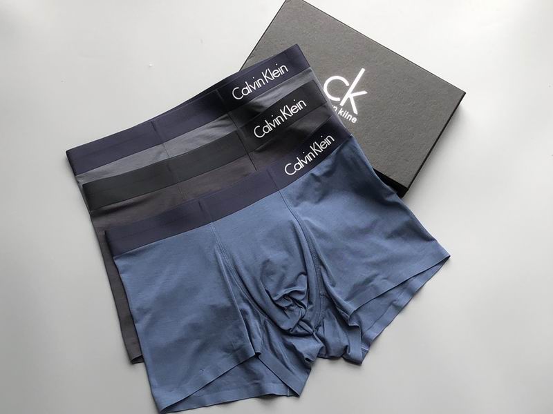 CK boxer L-4XL  (3)