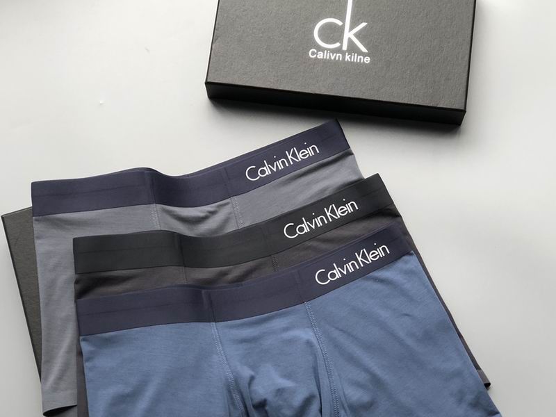 CK boxer L-4XL  (4)