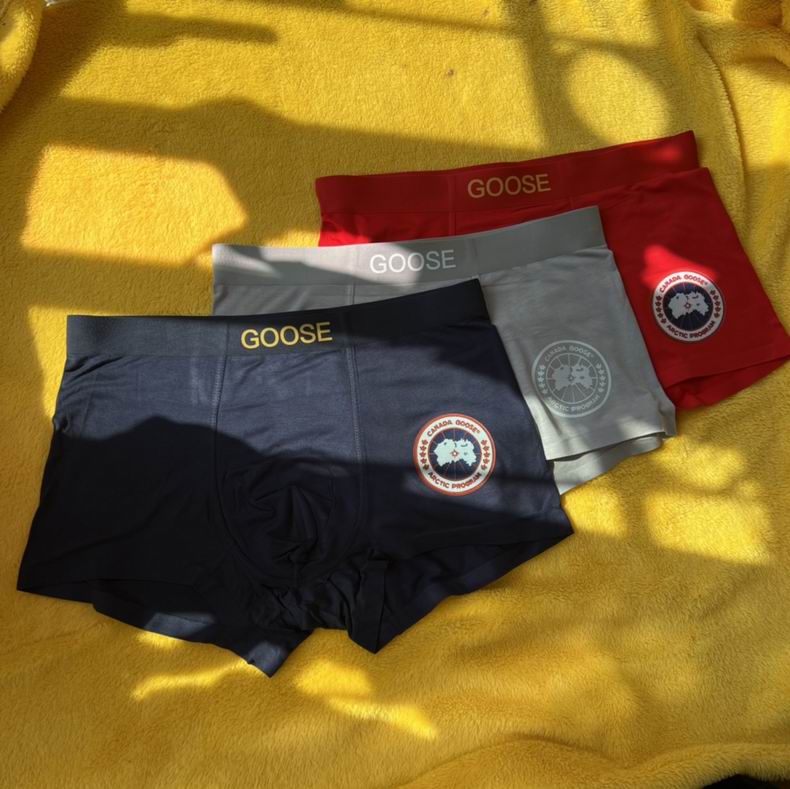 Canada Goose boxer L-3XL   (7)