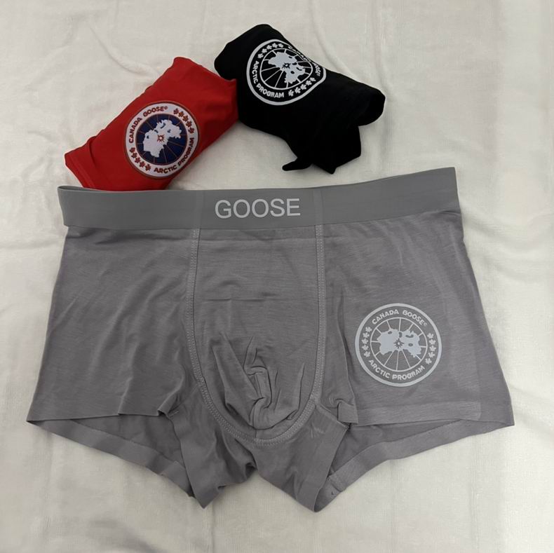 Canada Goose boxer L-3XL   (7)