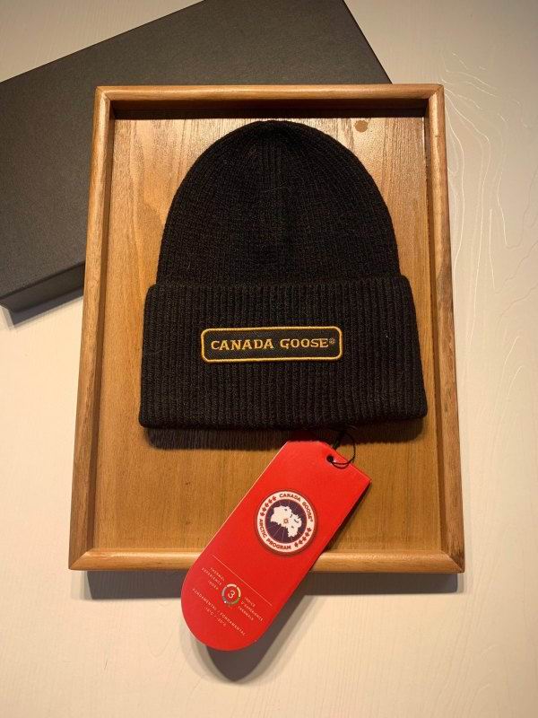 Canada Goose hat hm (29)