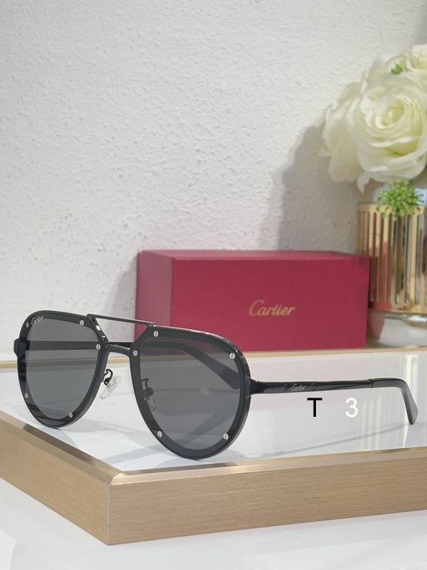 Cartier CT0195S 60 17-145 c06