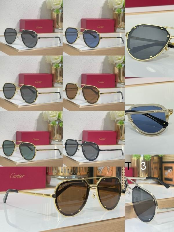 Cartier CT0195S 60 17-145 c10