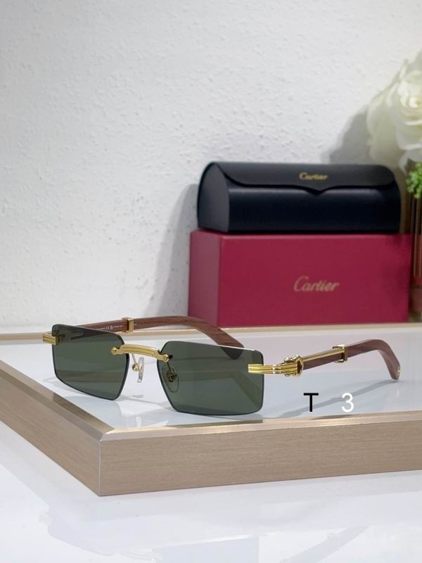 Cartier CT0485O 55 18-145 c01