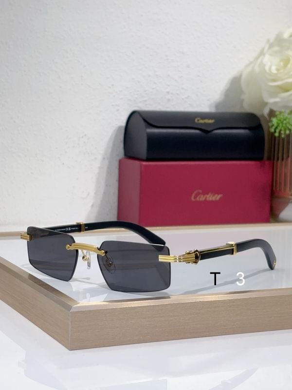 Cartier CT0485O 55 18-145 c05