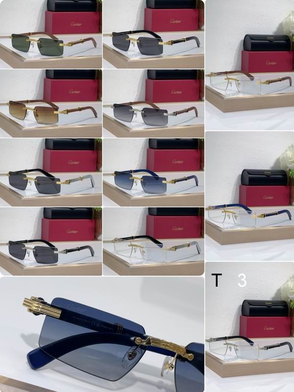 Cartier CT0485O 55 18-145 c10