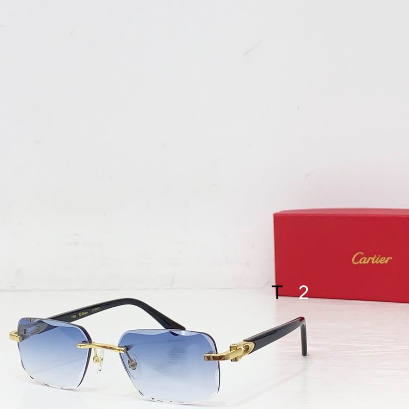 Cartier CT0047 b02