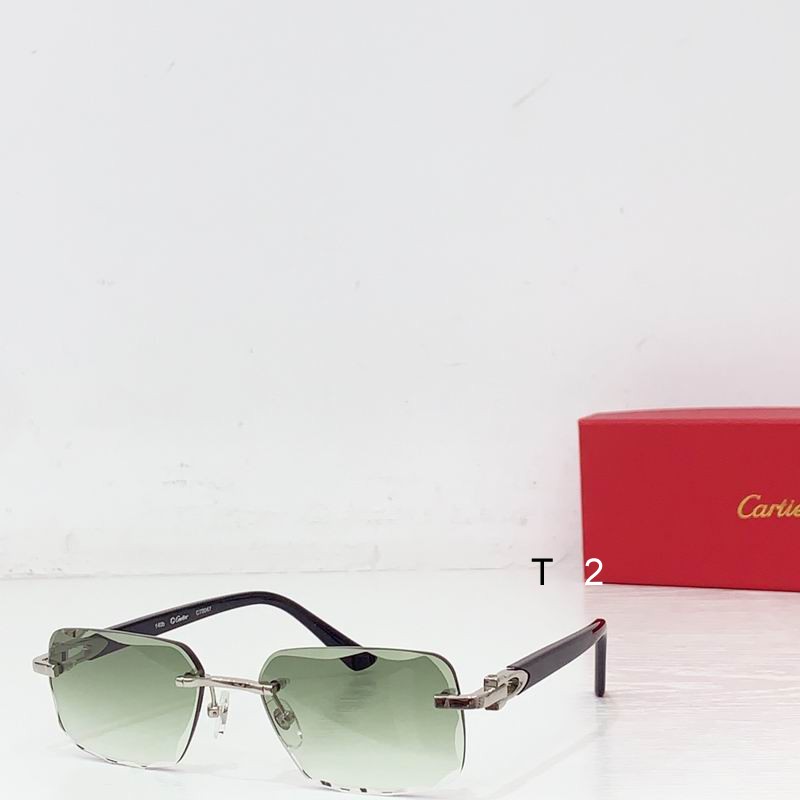 Cartier CT0047 b04
