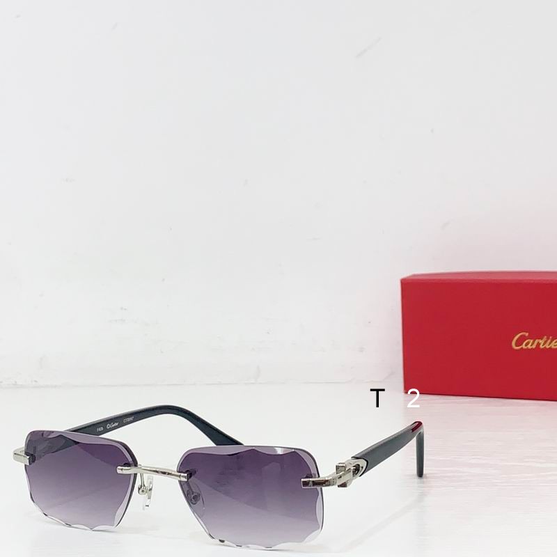 Cartier CT0047 b06