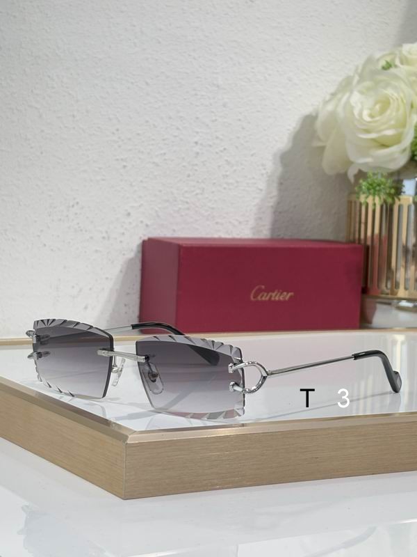 Cartier CT0092 56 18-145 c03