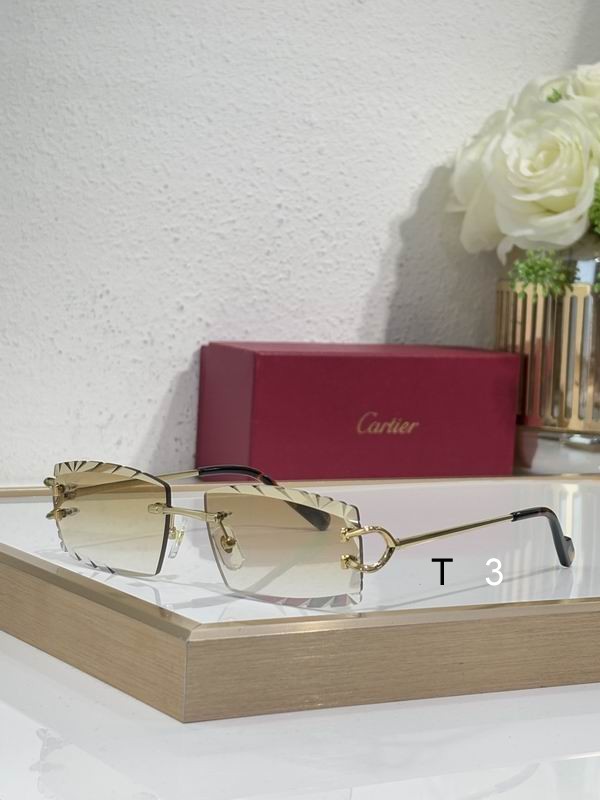 Cartier CT0092 56 18-145 c05