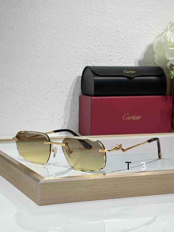 Cartier CT0120 57 17-140 c01