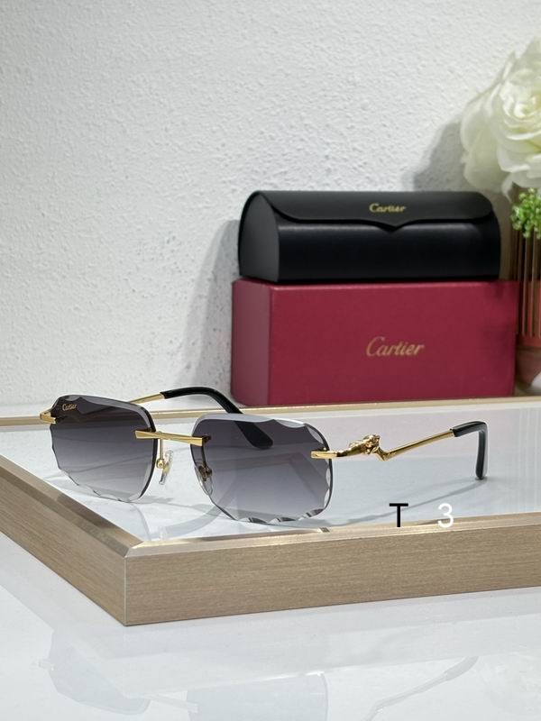 Cartier CT0120 57 17-140 c02