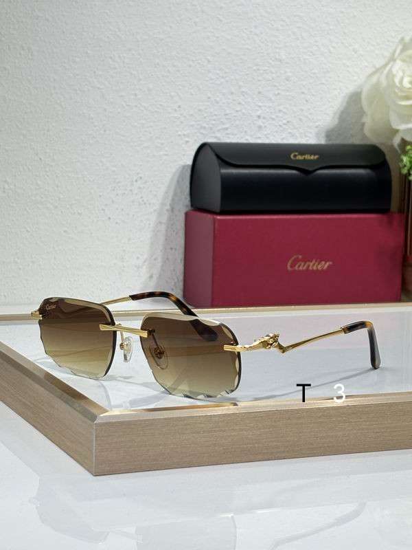 Cartier CT0120 57 17-140 c03