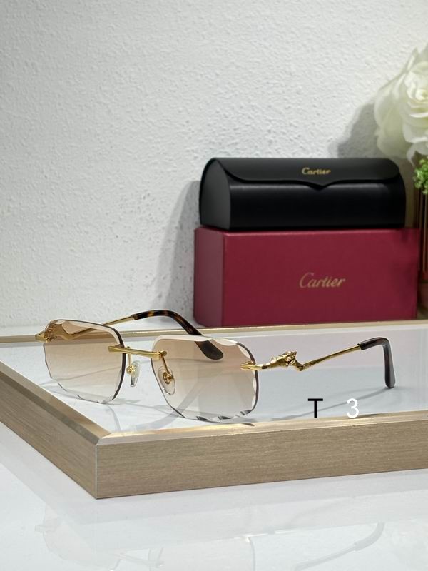Cartier CT0120 57 17-140 c04