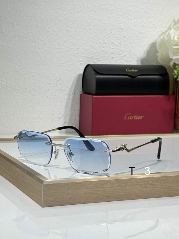 Cartier CT0120 57 17-140 c05