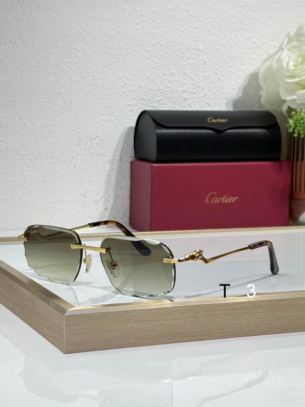 Cartier CT0120 57 17-140 c06