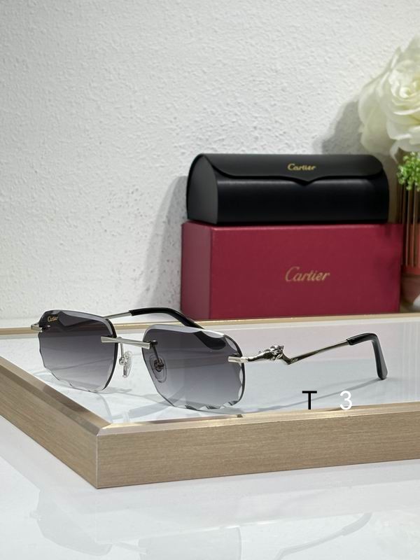 Cartier CT0120 57 17-140 c07