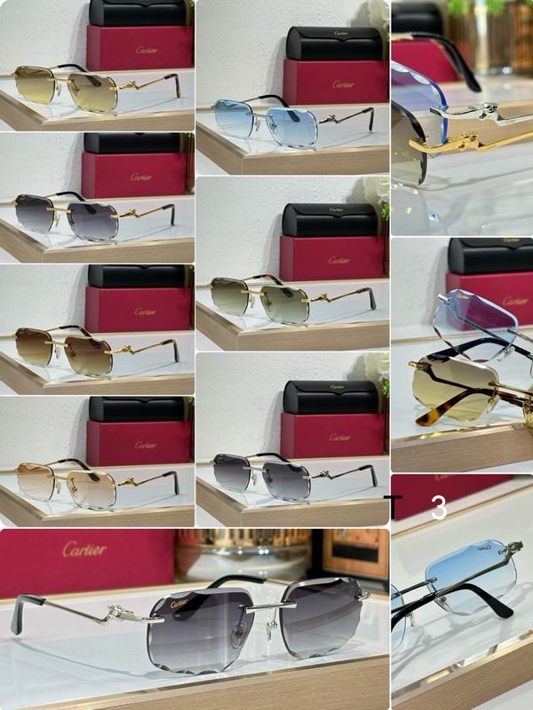 Cartier CT0120 57 17-140 c09