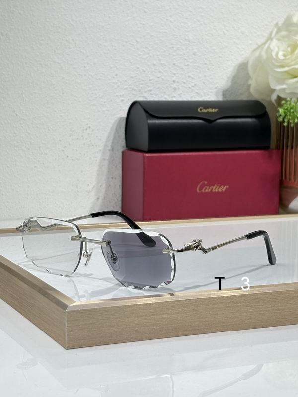 Cartier CT0120O 57 17-140 c04