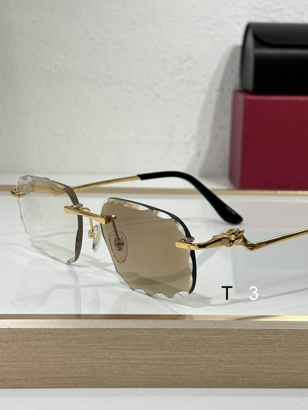 Cartier CT0120O 57 17-140 c06