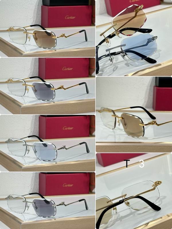Cartier CT0120O 57 17-140 c07