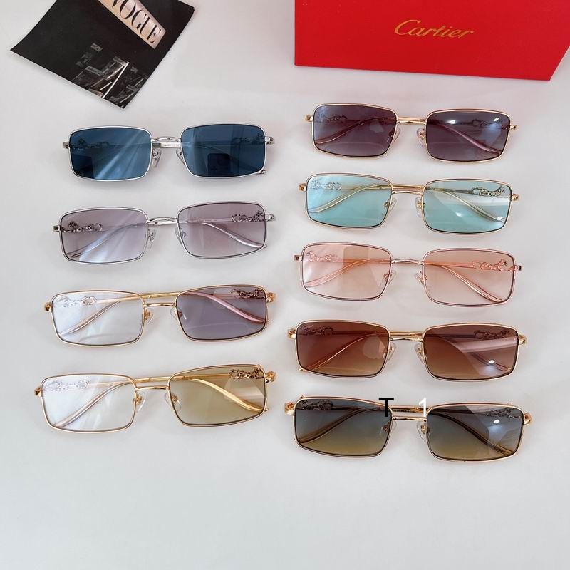 Cartier CT015900 56 19-142 a10