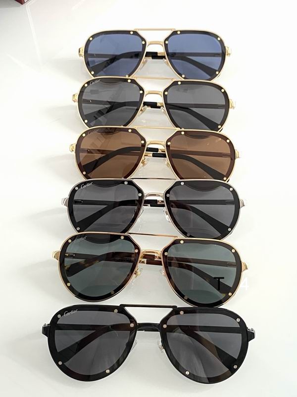 Cartier CT0195 60 17-145 d10