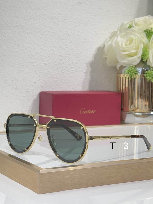 Cartier CT0195S 60 17-145 c05