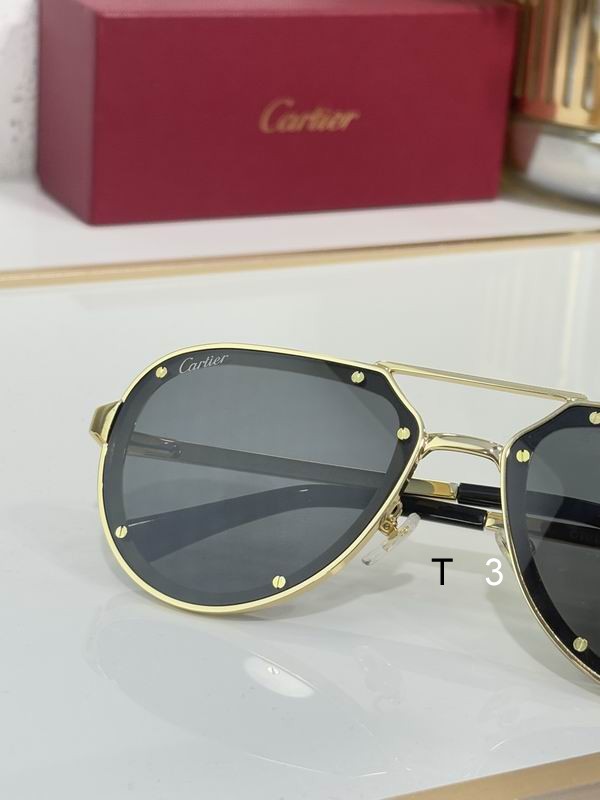 Cartier CT0195S 60 17-145 c07