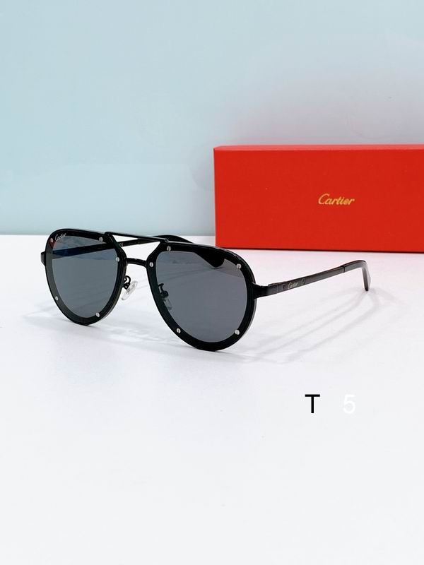 Cartier CT0195S 60-17-145 F04